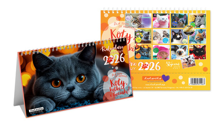 Kalendarz 2026 biurkowy Koty