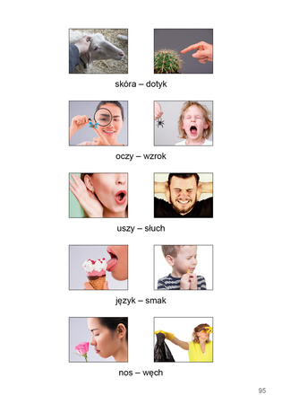 Uczę się z kartami pracy podręcznik dla uczniów z niepełnosprawnością intelektualną