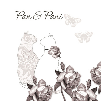 Karnet Swarovski kwadrat CL0101_PO Ślub koty i motyle