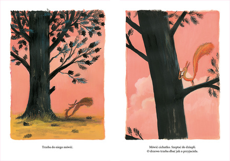 Trochę dużo. Wiewiórka