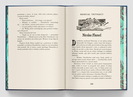 Harry Potter i Kamień Filozoficzny. Harry Potter (ilustrowane brzegi) edycja limitowana