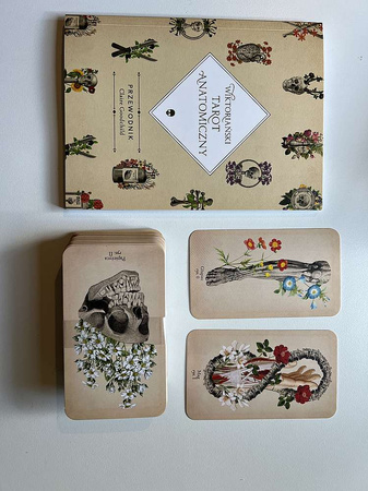 Wiktoriański tarot anatomiczny. Współczesny przewodnik czytania tarota z talią kart