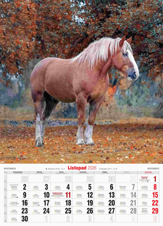 Kalendarz 2026 A3 Konie A3-2