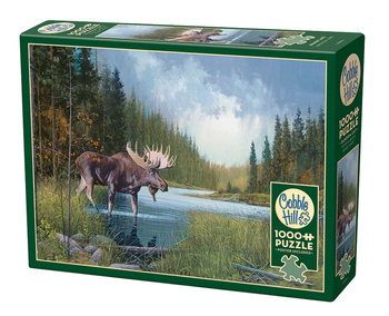 Puzzle 1000 Spacer nad rzeką 113132