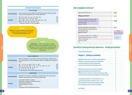 Język polski. Nowe Repetytorium. Szkoła podstawowa. Klasa 7-8 wyd. 2025