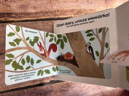 Las. Akademia mądrego dziecka. Moja książeczka z okienkami