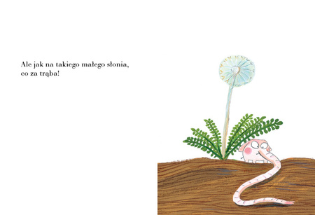 Pomelo ma się dobrze pod swoim dmuchawcem