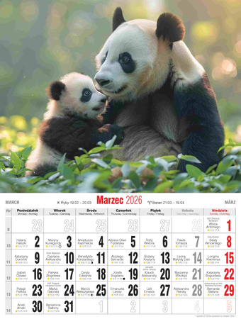 Kalendarz 2026 Przyjaciele KSMS-7