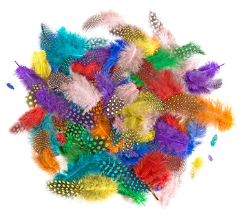 Piórka bażanta 4-7 cm 10g Brights