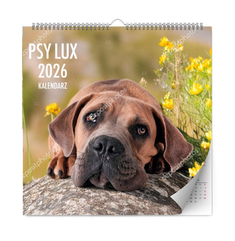 Kalendarz 2026 Psy ścienny lux
