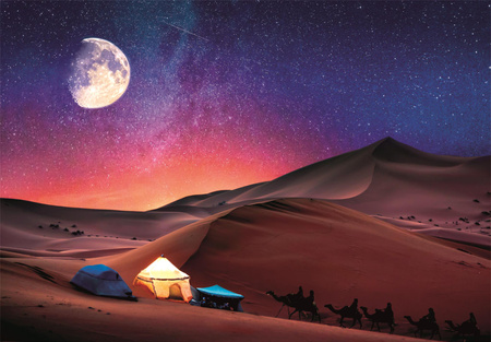 Puzzle 500 Peace Collection Starry Night Dream 35527