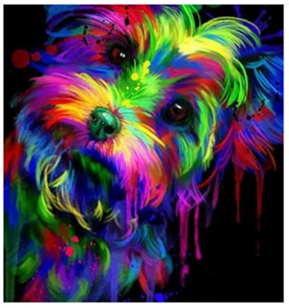 Diamentowa Mozaika Piesek kolorowy NO-1006294