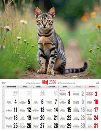 Kalendarz 2026 Koty KSMS-4