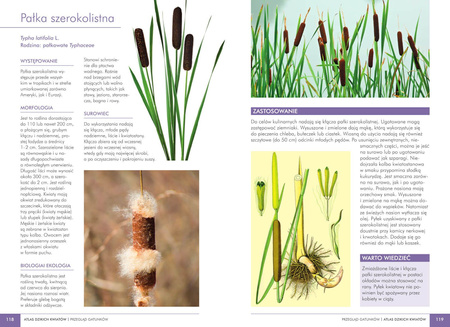 Atlas dzikich kwiatów