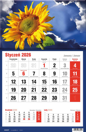 Kalendarz 2026 trójdzielny jednodzielny KTJ 1szt.mix