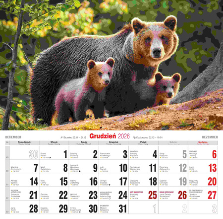 Kalendarz 2026 Przyjaciele KD-19