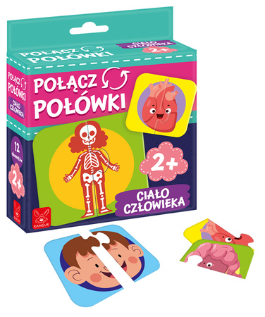 Gra Połącz Połówki Ciało Człowieka