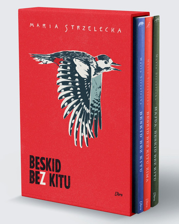 Pakiet Beskid bez kitu