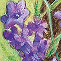 Puzzle 1000 CherryPazzi Gemini 30196