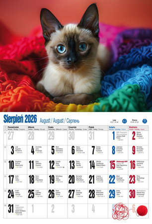 Kalendarz 2026 ścienny albumowy Kocie fanaberie KSA V2
