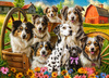 Puzzle 260 Happy Dogs In The Countryside B-27699-1
