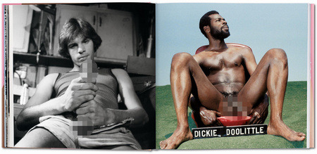 The Big Penis Book wer. angielska