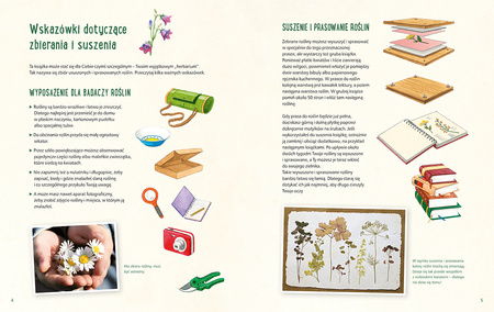 Mój pierwszy zielnik. Zbieram kwiaty, liście i trawy