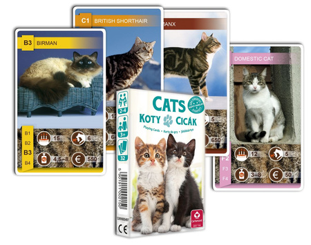 Karty do gry Kwartet Koty