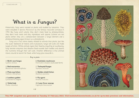 Fungarium (Mini Gift Edition)