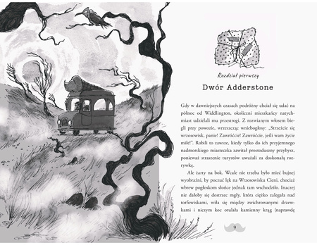 Tajemnica starego dworu. Montgomery Bonbon. Tom 3