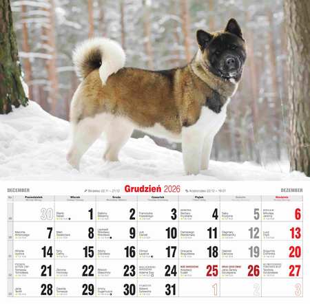 Kalendarz 2026 Psy KD-20