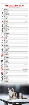 Kalendarz 2026 Psy KP-1