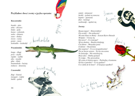 Nie krokodyluj! O drodze Ludwika Zamenhofa do języka esperanto