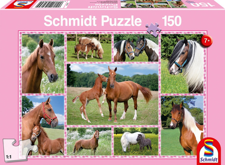 Puzzle 150 Konie 106960