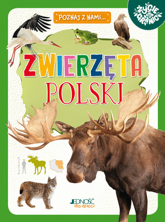 Zwierzęta Polski. Poznaj z nami...