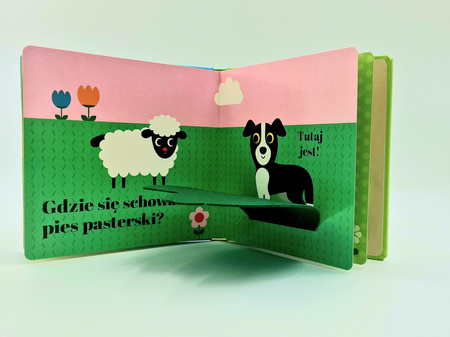 Gdzie się schował lisek? Akademia mądrego dziecka. Zabawa w chowanego