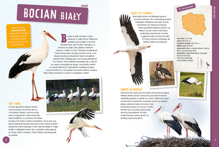 Zwierzęta Polski. Poznaj z nami...