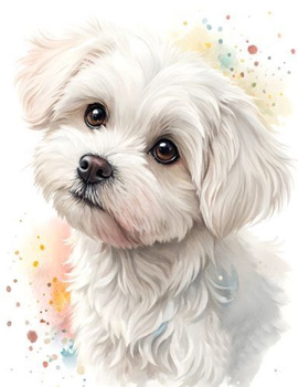 Diamentowa Mozaika Pies maltańczyk portret NO-2003090