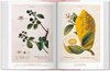 A Garden Eden. Masterpieces of Botanical Illustration. 40th Ed. wer. angielsko-francusko-niemiecka