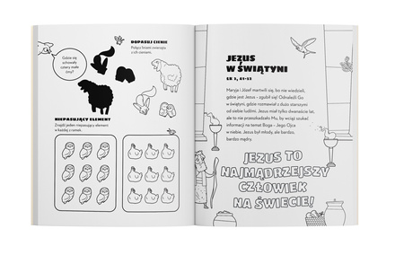 Biblijna wyszukiwanka. Nowy Testament. Książeczka z zabawami