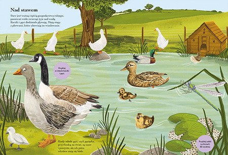 Wiejska zagroda. Poznajemy zwierzęta