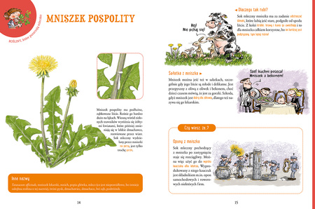 Niezłe ziółka. Rośliny, które śmierdzą, plują, drapią i puszczają bąki