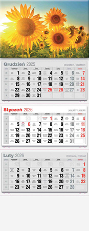 Kalendarz 2026 trójdzielny lux KTL 1szt.mix