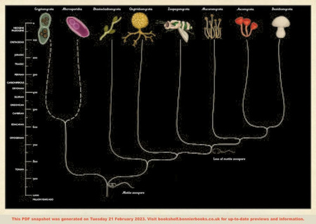 Fungarium (Mini Gift Edition)