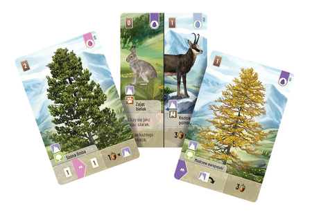 Gra Leśne rozdanie Alpy