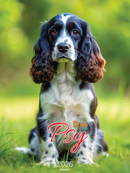 Kalendarz 2026 Psy KSMS-3