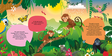 Dżungla. Magiczna latarka