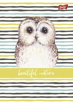 Paczka Zeszyt A5 16k trzylinia kolorowa dziewczęcy pakiet 15 sztuk