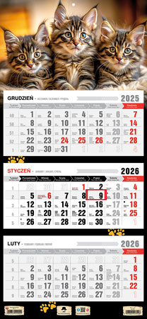 Kalendarz 2026 trójdzielny Kotki KT1 V97