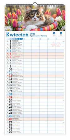 Kalendarz 2026 ścienny paskowy szeroki Koty Kotki Koteczki KPS V6